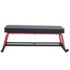 Sunny Health & Fitness Power Zone Strength Flat Bench with 550 lb Max Weight, Dumbbell Rack and Transport Wheels - Image 6