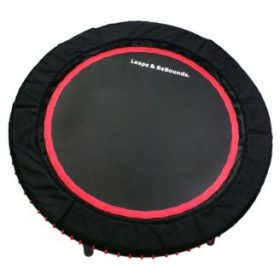 Leaps and Rebounds Fitness Trampoline, 40